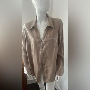 Fred David Iridescent Taupe Blouse